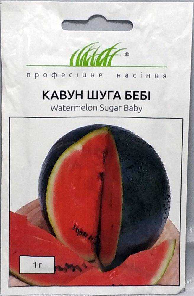 Арбуз шуга бейби: выращивание и уход
