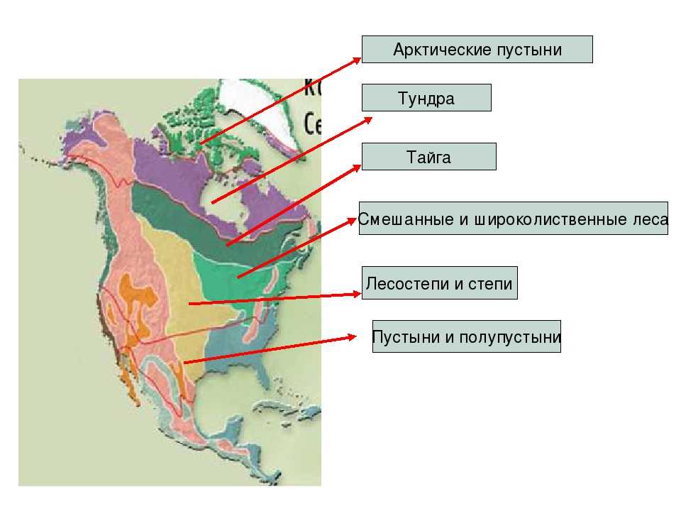 Климат природных зон северной америки таблица. Карта природных зон Северной Америки. Природные зоны Сев Америки. Карта природных зон США. Карта природных зон Америки.