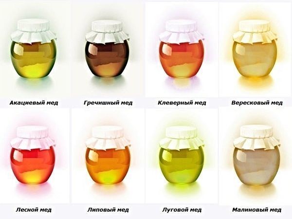 Цветочный мед и его лечебные свойства и противопоказания