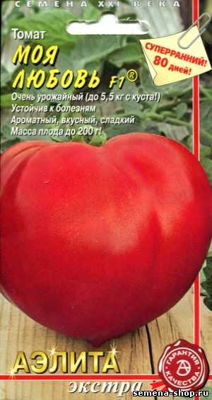 Помидоры ранняя любовь: описание и характеристика сорта, выращивание томата