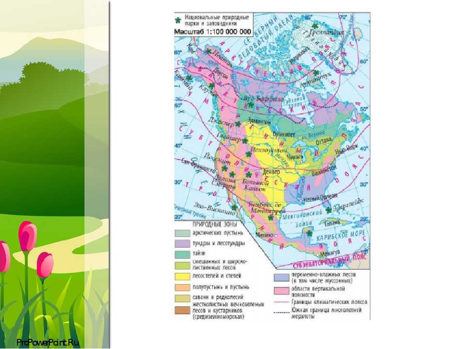 Природные зоны венесуэлы и их особенности. Природные зоны Северной Америки атлас. Карта природных зон Северной Америки. Природные зоны Канады. Карта природных зон Америки.