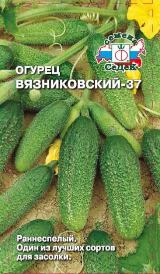 Огурец вязниковский: описание и характеристика сорта, мнение садоводов с фото