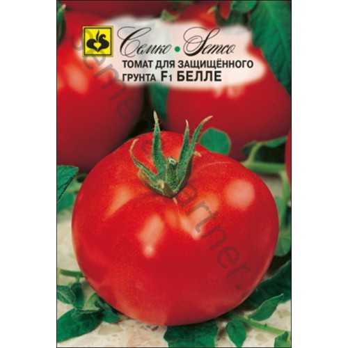 Гибрид с отличной урожайностью — томат «белла роса»: характеристика и описание сорта