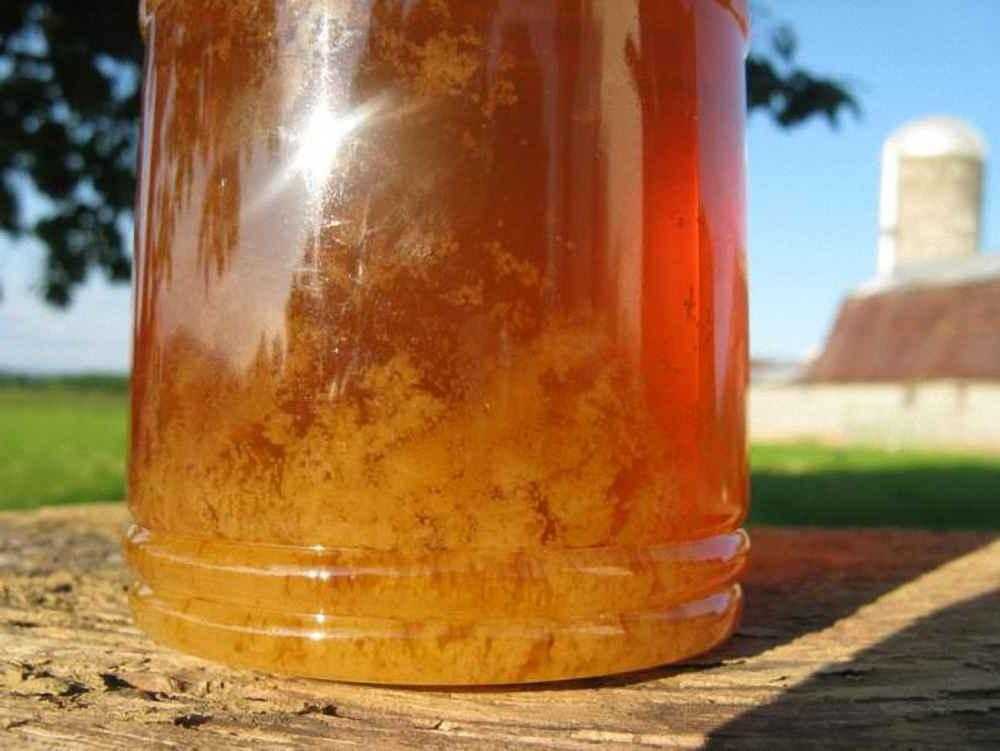 Можно греть мед. Мёд засахарился. Кристаллизованный мед. Засахаренный мед. Закристаллизовавшийся мед.