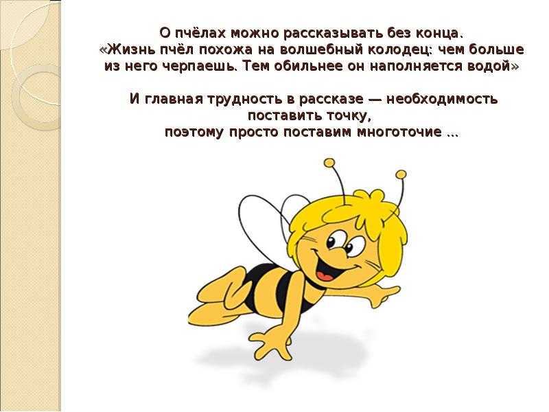 Пчела составить предложение. Рассказ о пчелах. Интересные сведения о пчелах. Пчела для презентации. Интересное о пчелах для детей.