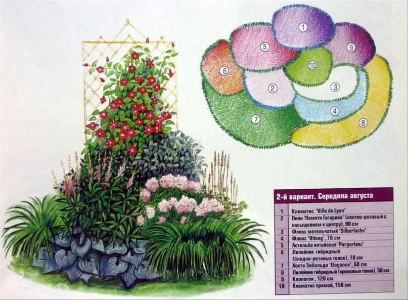 Схемы клумб непрерывного цветения из многолетников