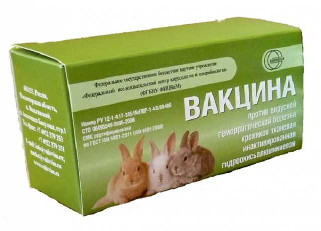 Ассоциированная вакцина для кроликов: как разводить и колоть