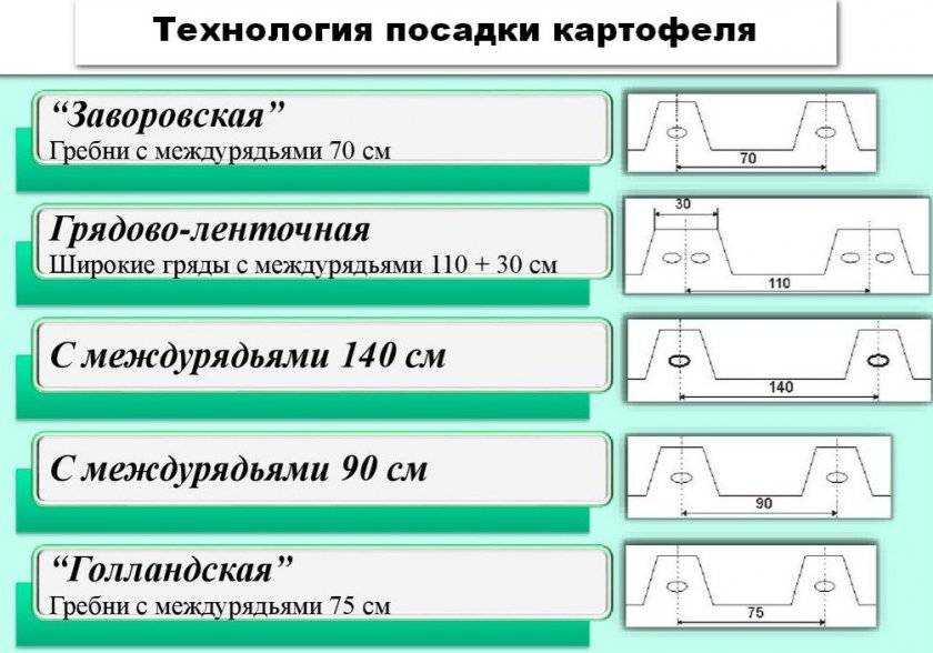 Как сажать картошку схема посадки