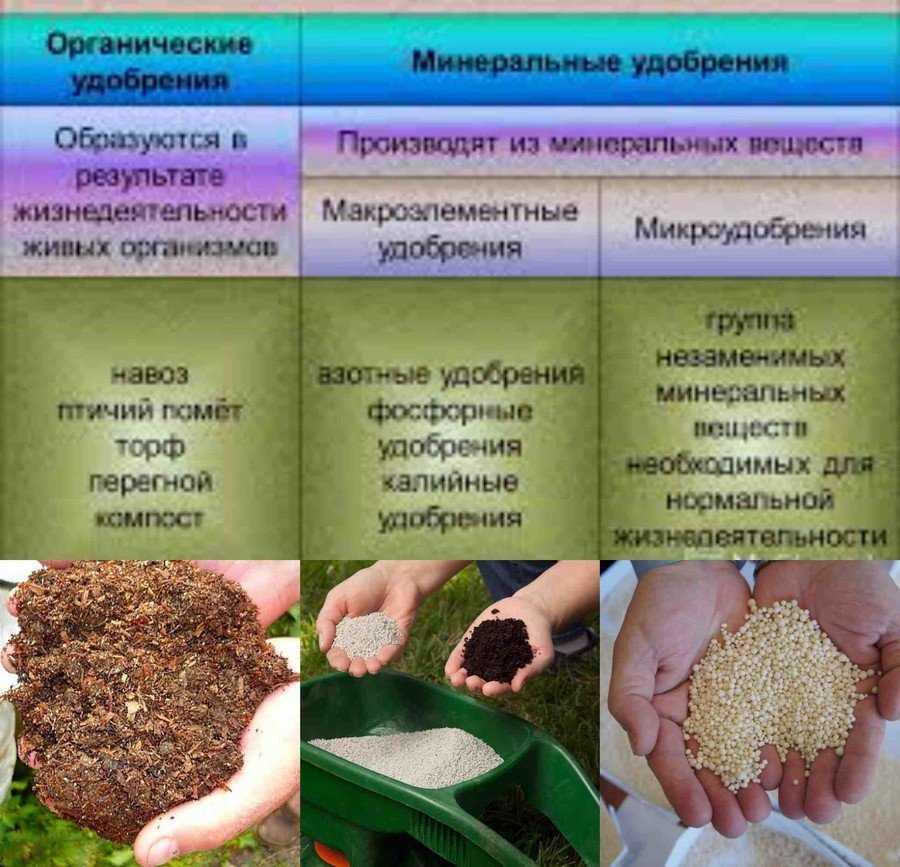 Урожайность минеральные удобрения. Удобрение органическое. Что такое органические и Минеральные удобрения. Удобрение почвы. Почвенные биологические удобрения.