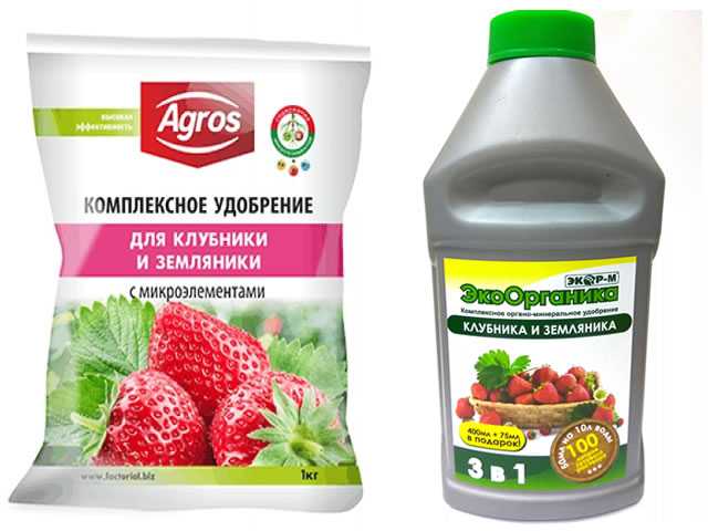 Можно ли удобрить клубнику калием. b0cfdd1eb0022cd909a2b346c94dc874. Можно ли удобрить клубнику калием фото. Можно ли удобрить клубнику калием-b0cfdd1eb0022cd909a2b346c94dc874. картинка Можно ли удобрить клубнику калием. картинка b0cfdd1eb0022cd909a2b346c94dc874. Кроме этих питательных составов, клубнику весной удобряют неспецифическими средствами, среди которых можно назвать йод и дрожжи.