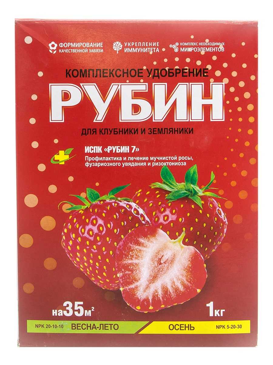 Можно ли удобрить клубнику калием. b27cf12626efd7aad94388e58f88d423. Можно ли удобрить клубнику калием фото. Можно ли удобрить клубнику калием-b27cf12626efd7aad94388e58f88d423. картинка Можно ли удобрить клубнику калием. картинка b27cf12626efd7aad94388e58f88d423. Кроме этих питательных составов, клубнику весной удобряют неспецифическими средствами, среди которых можно назвать йод и дрожжи.