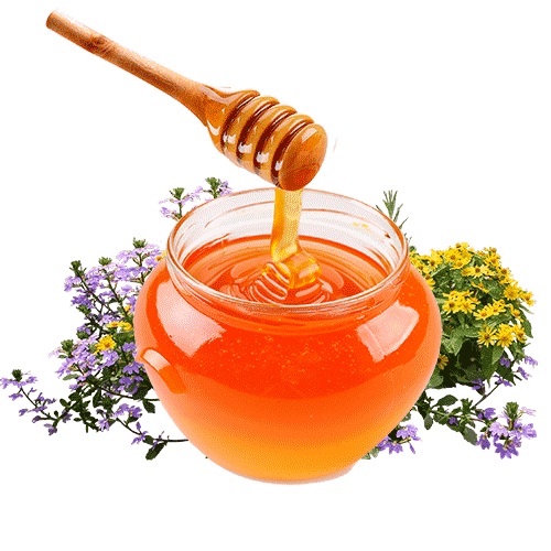 Васильковый мед: состав, полезные и лечебные свойства