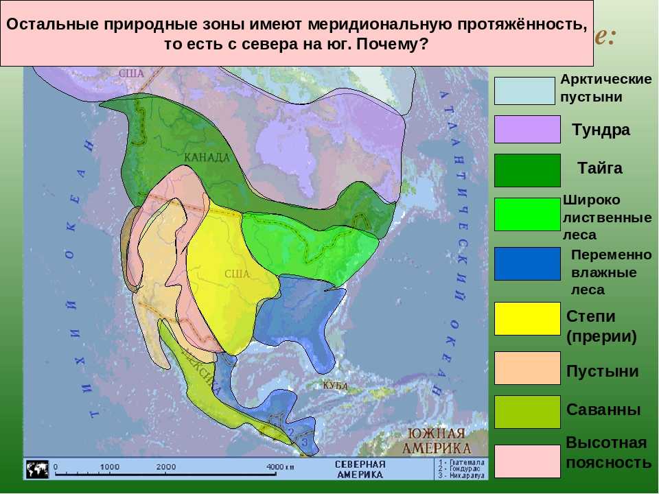 Какой пояс занимает большую часть северной америки. Климатические пояса и природные зоны Северной Америки. Карта природных зон Северной Америки. Природные зоны Северной Америки 7 класс. Карта природных зон Северной Америки 7 класс.