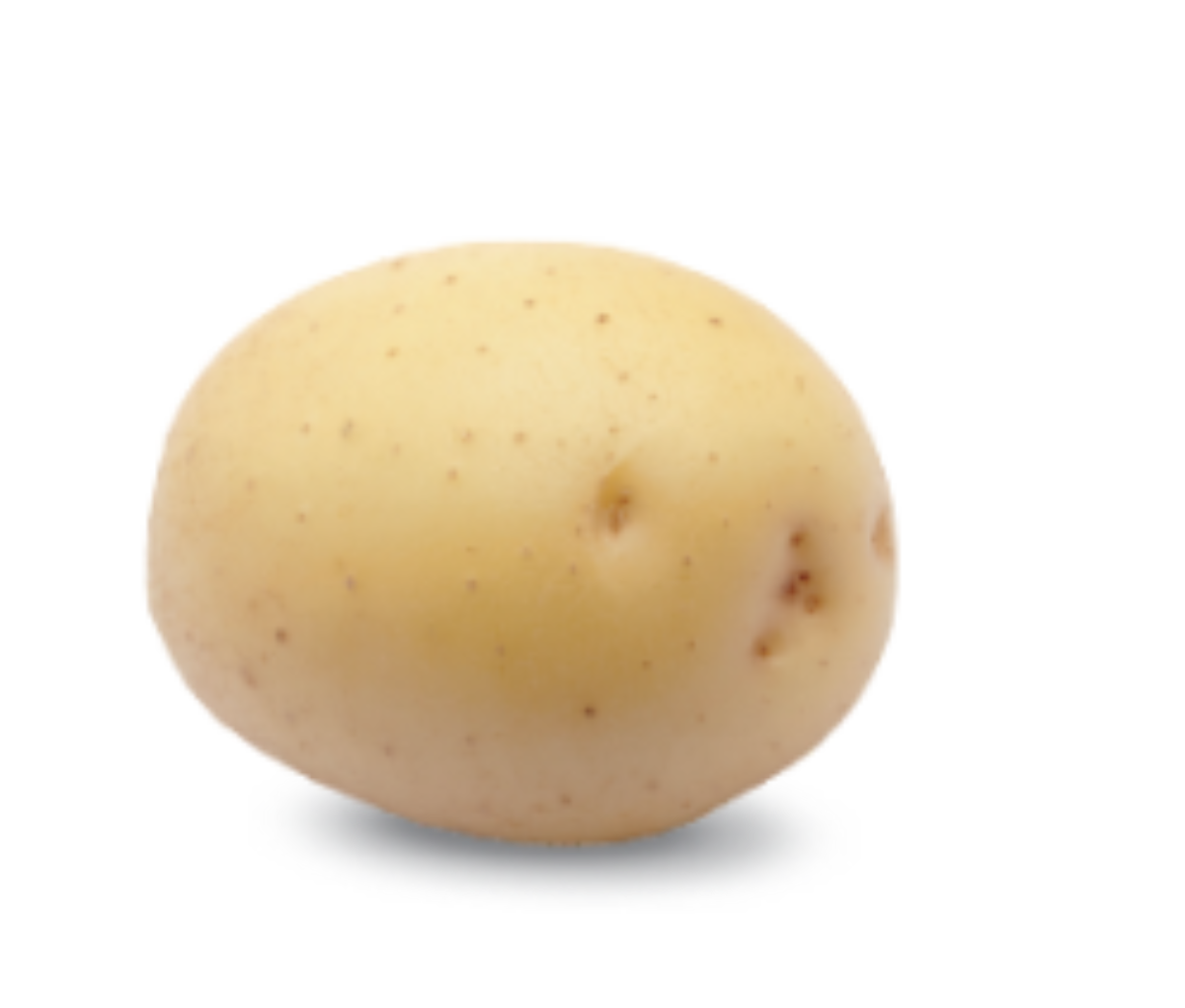 Сорт картофеля Коломбо. Картофель сорт Коломба. Коломба картофель Коломбо. Сорт ранней картошки Коломбо.