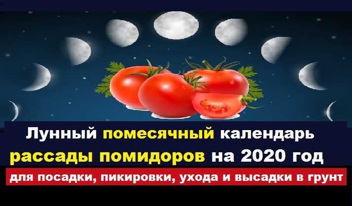 График пикировки томатов в апреле 2018 года по лунному календарю