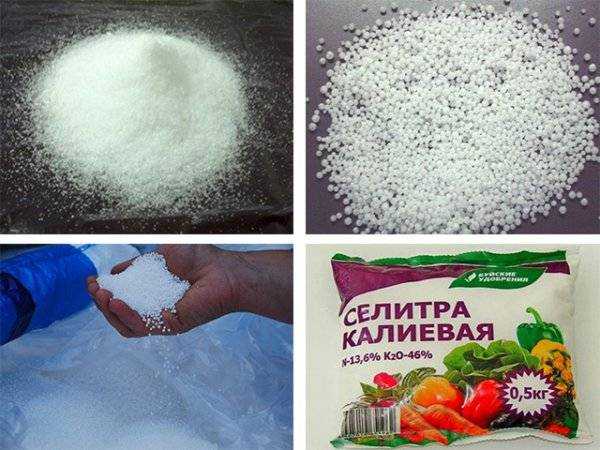 Можно ли удобрить клубнику калием. b843b2e772c51b5f686f5370737f261f. Можно ли удобрить клубнику калием фото. Можно ли удобрить клубнику калием-b843b2e772c51b5f686f5370737f261f. картинка Можно ли удобрить клубнику калием. картинка b843b2e772c51b5f686f5370737f261f. Кроме этих питательных составов, клубнику весной удобряют неспецифическими средствами, среди которых можно назвать йод и дрожжи.