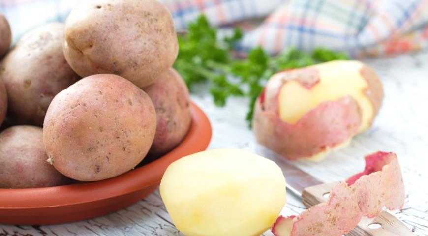 Немецкое качество на наших грядках: картофель «рамос» — описание сорта с подробной характеристикой и изобильными фото