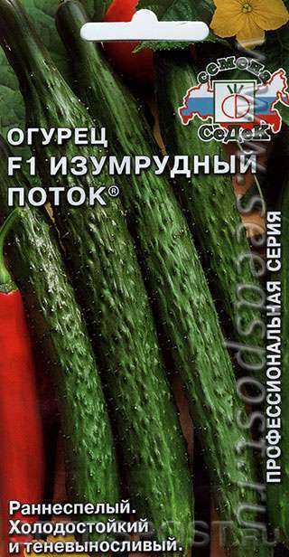 Гибрид огурцов «трилоджи f1»: фото, видео, описание, посадка, характеристика, урожайность, отзывы