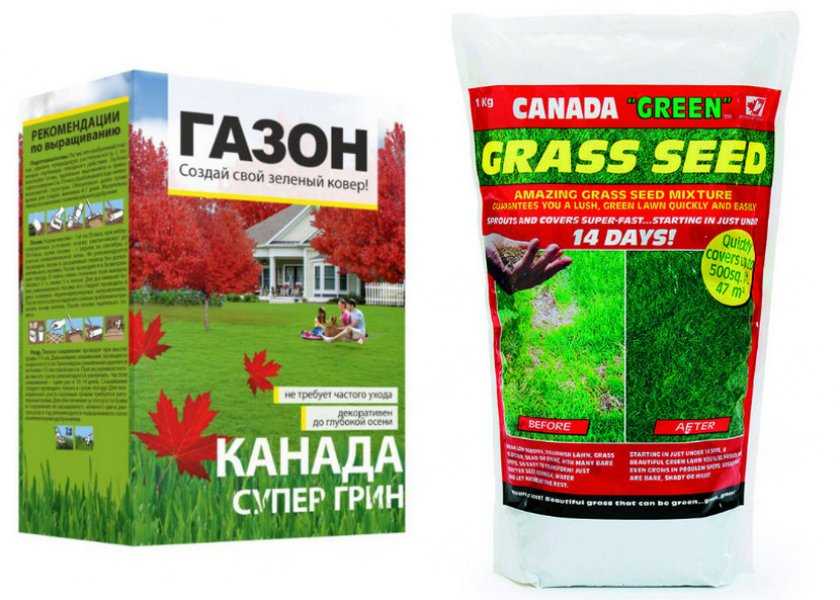 Газон лилипут — описание, особенности, характеристики газонной травы для ленивых