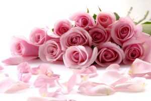 Букет розовых роз на юбилей