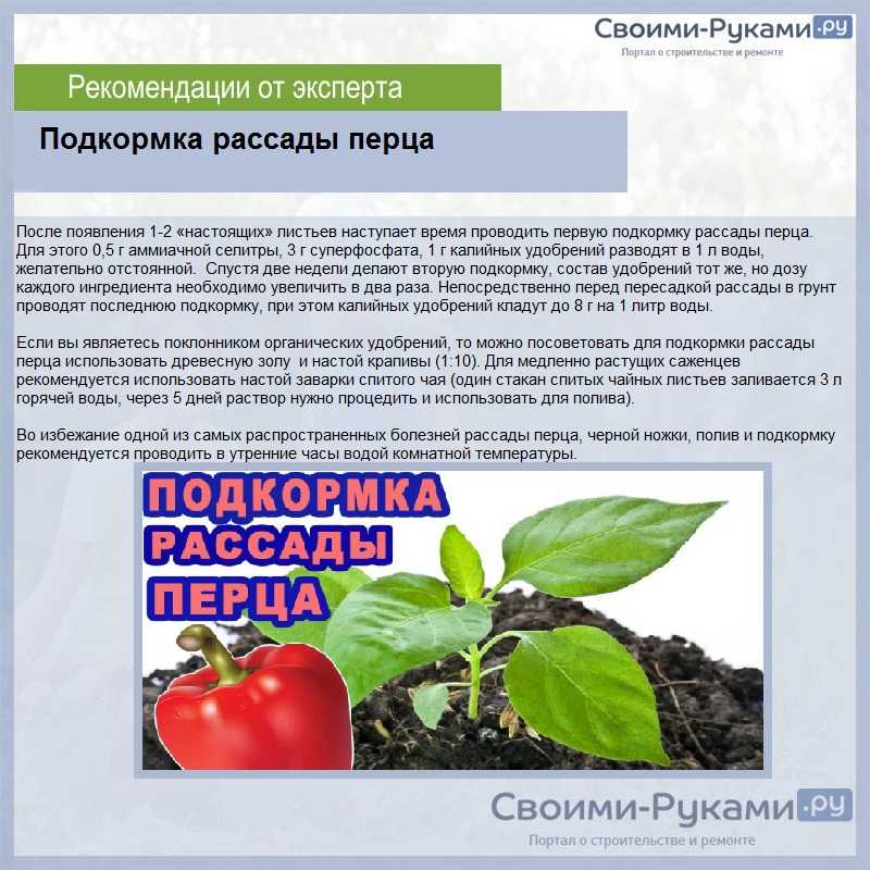 Подкормка и удобрения рассады томатов и перца: препараты и народные средства