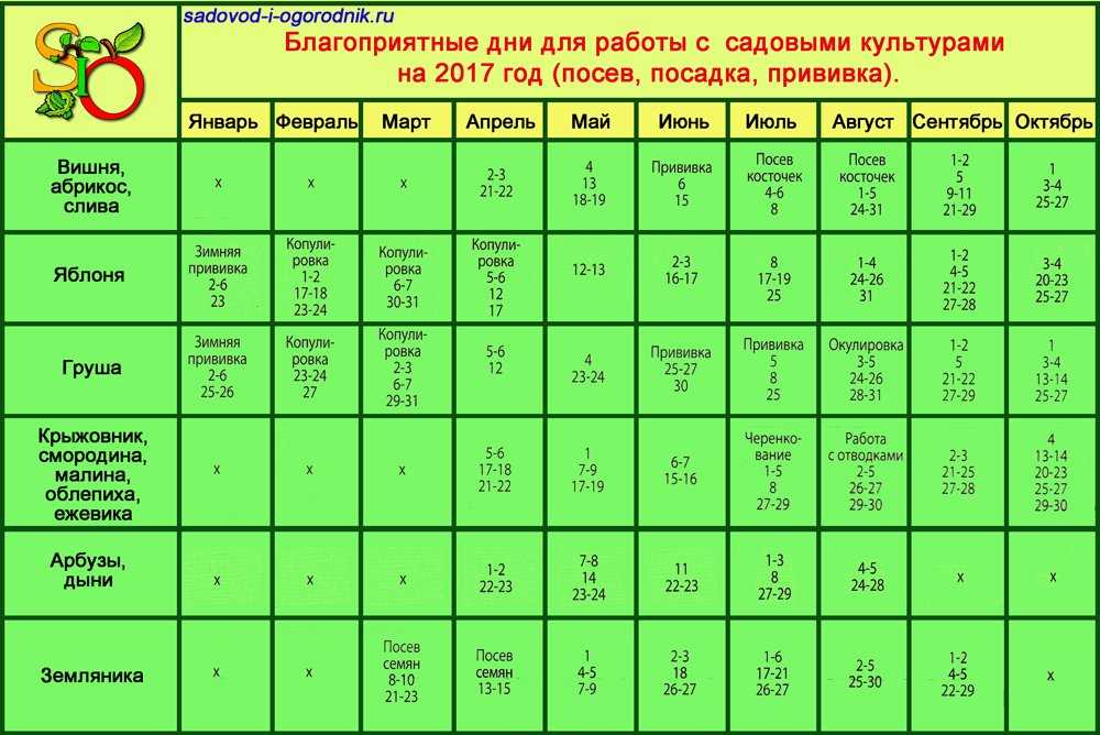 Лунный календарь для комнатных цветов на ноябрь. Благоприятные дни для посадки комнатных растений. Благоприятные для пересадки комнатных растений. Лунный календарь для комнатных растений. Благоприятные дни для пересадки комнатных цветов.