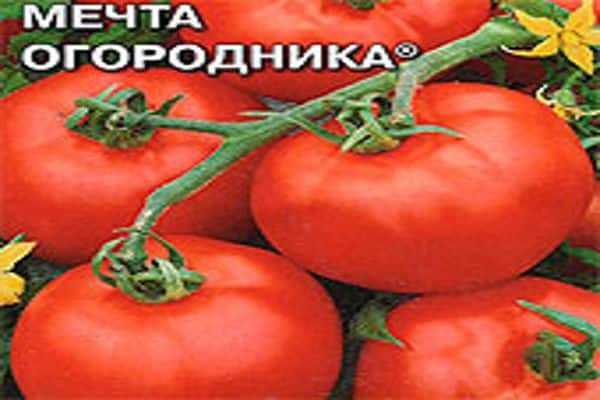 Томат мечта огородника: характеристика и описание сорта, отзывы с фото