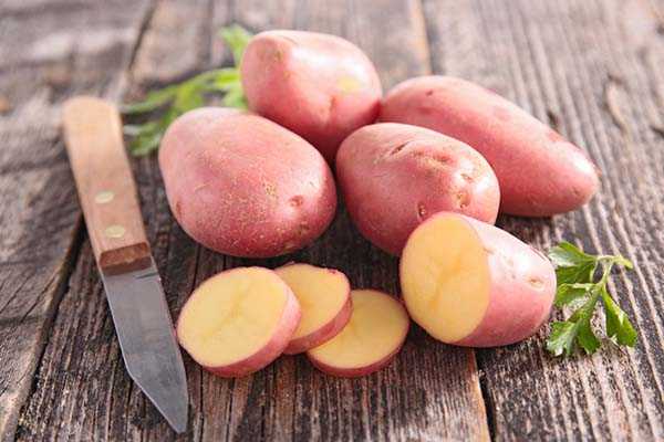 Картофель ред скарлет – удивительный вкус и простая агротехника