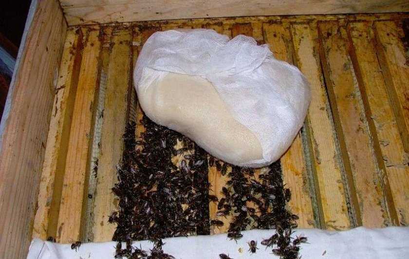 Сахарный сироп для пчел или медовая сыта