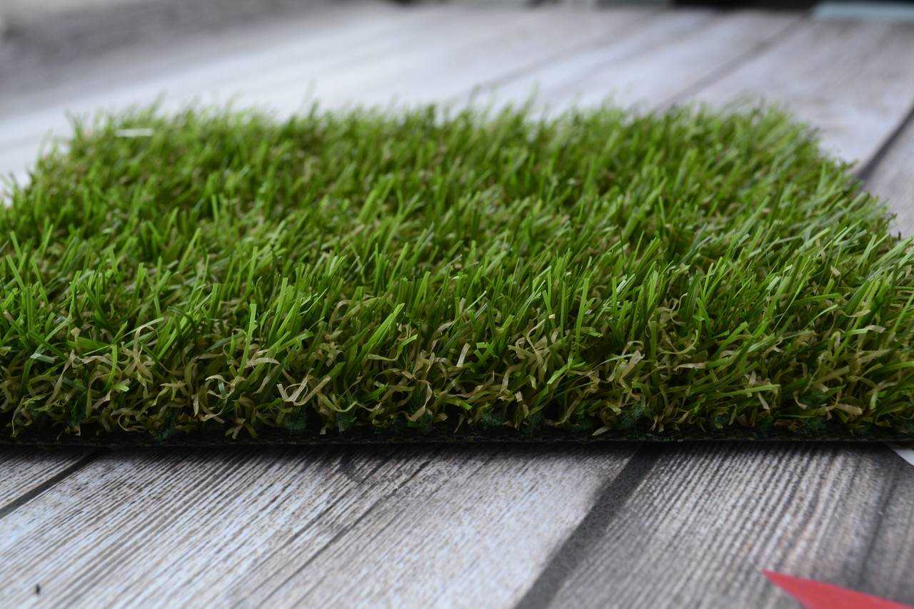Газонная трава лилипут: особенности, характеристики, состав, плюсы и минусы, посев и уход