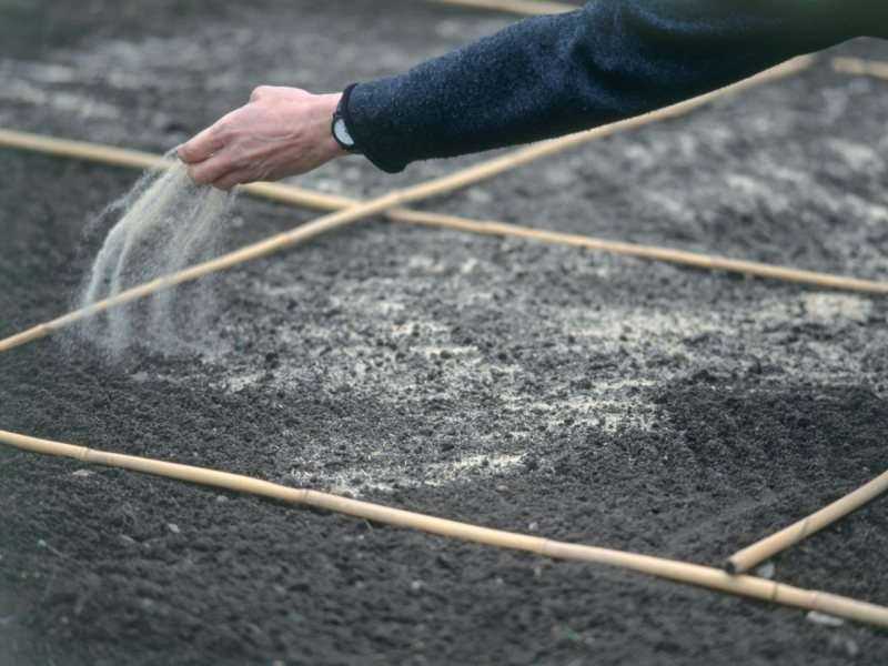 Посадка газона: подготовка почвы и посев семян