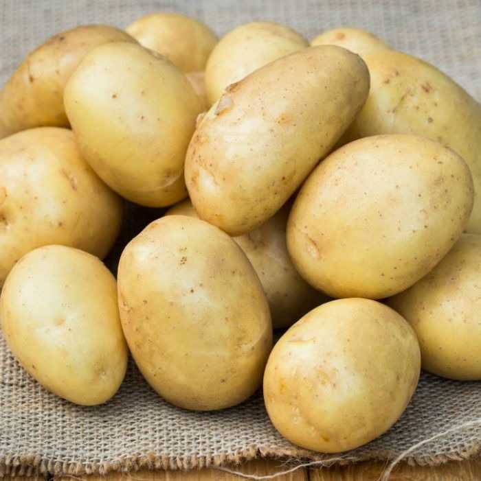 Топ-7 популярных сортов картофеля, проверенных временем