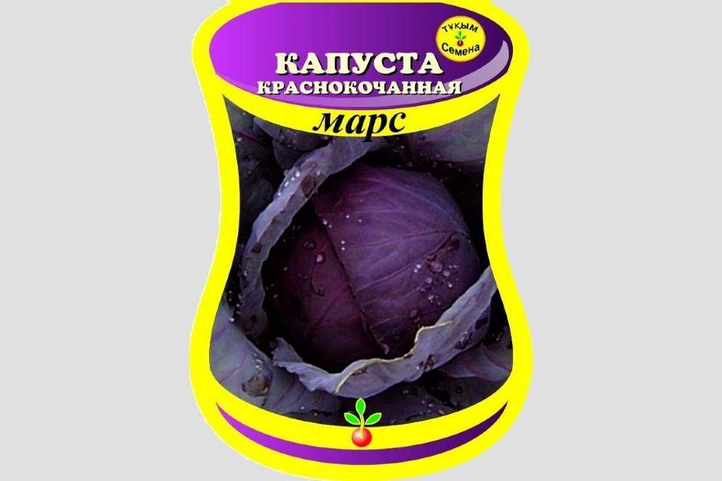 Капуста калибос как готовить