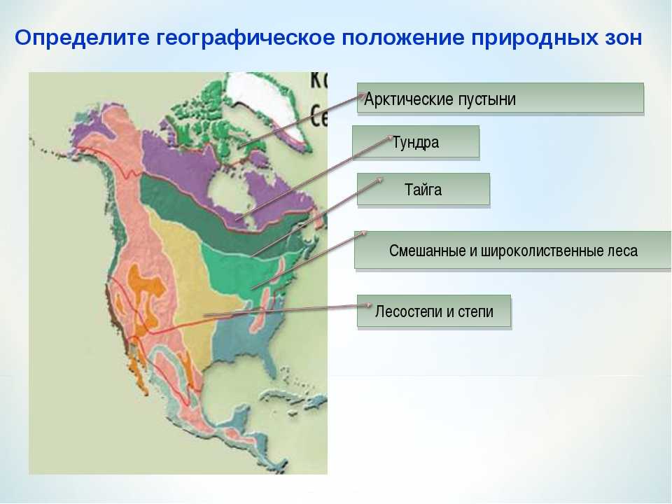 Большую часть северной америки занимает природная зона. Карта природных зон Северной Америки 7 класс география. Природные зоны материка Северная Америка. Лесная зона Северная Америка климатический пояс. Климатические пояса и природные зоны Северной Америки.