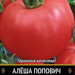 Полное описание и характеристики сорта томата алеша попович