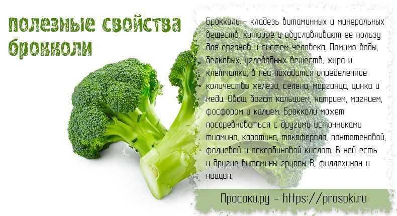 Капуста брокколи польза для организма. Брокколи полезные свойства. Брокколи витамины. Что полезного в брокколи. Полезные качества брокколи.