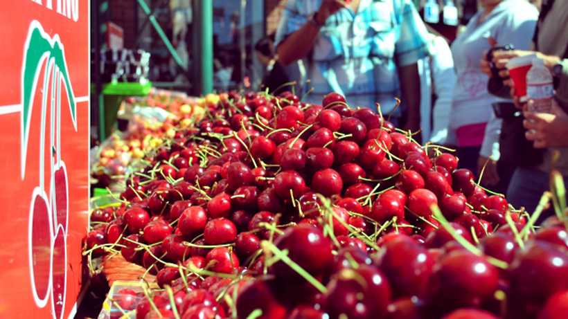 Гид по черешне: сорта, производители, цены и советы по выбору - афиша daily