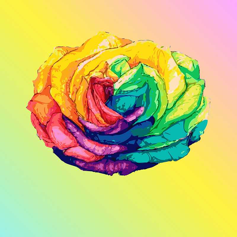 Как сделать радужную розу