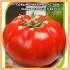 Характеристика, описание и выращивание томата бэлла роса f1