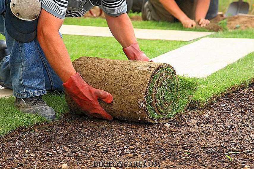 Как сделать искусственный газон — лучшие решения как преобразить участок и сделать его более красивым!