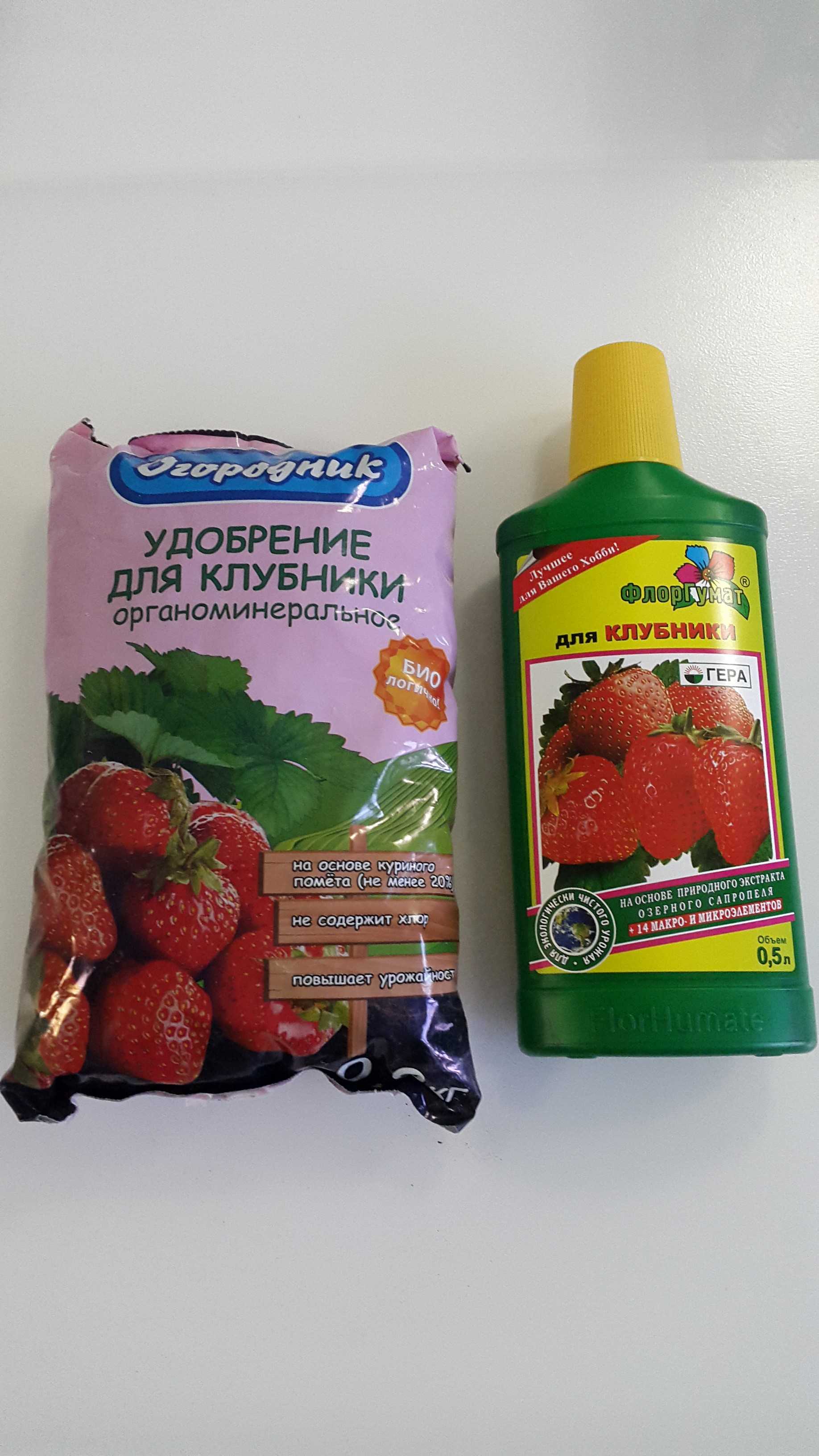 Можно ли удобрить клубнику калием. da196d5aa2575d4620bb037da30b0017. Можно ли удобрить клубнику калием фото. Можно ли удобрить клубнику калием-da196d5aa2575d4620bb037da30b0017. картинка Можно ли удобрить клубнику калием. картинка da196d5aa2575d4620bb037da30b0017. Кроме этих питательных составов, клубнику весной удобряют неспецифическими средствами, среди которых можно назвать йод и дрожжи.
