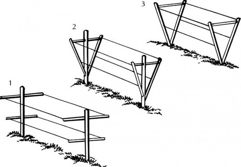 Как правильно сделать ограждение для малины фото и схемы