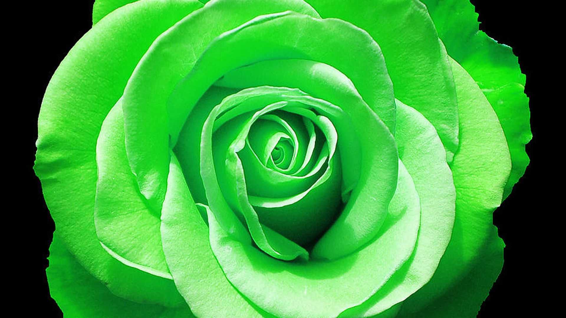 Зеленый цвет национальный
