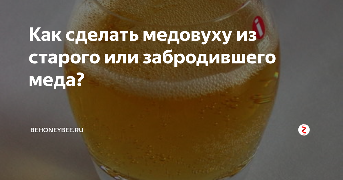Как сделать медовуху из старого или забродившего меда?