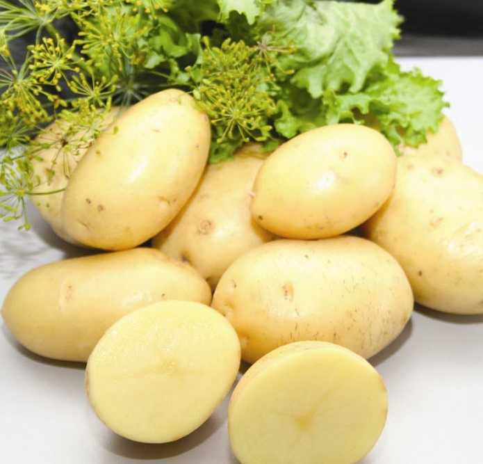 Сорт картофеля "ред леди": описание сорта и характеристика с фото