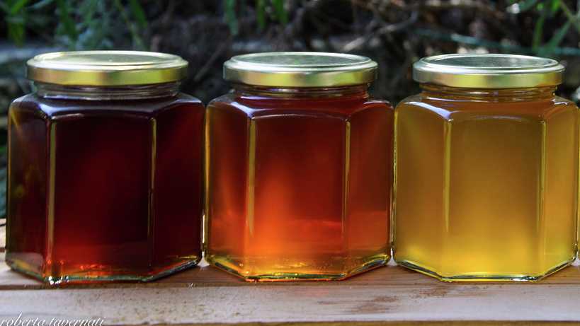 Какой мед лучше светлый или темный?