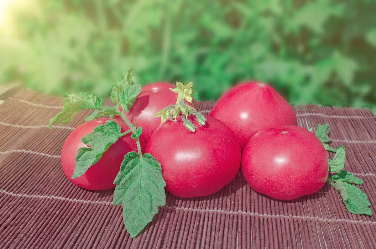 Хорошие розовые помидоры. Томат розовый крупный f1 15шт. Томат Пинк Парадайз f1. Сорт томата Парадайз.