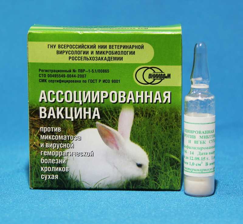 Вакцина для кроликов раббивак v