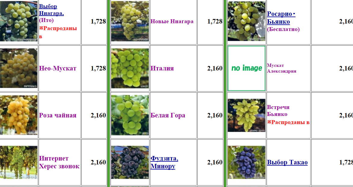 Сорта винограда для сибири: описание и фото