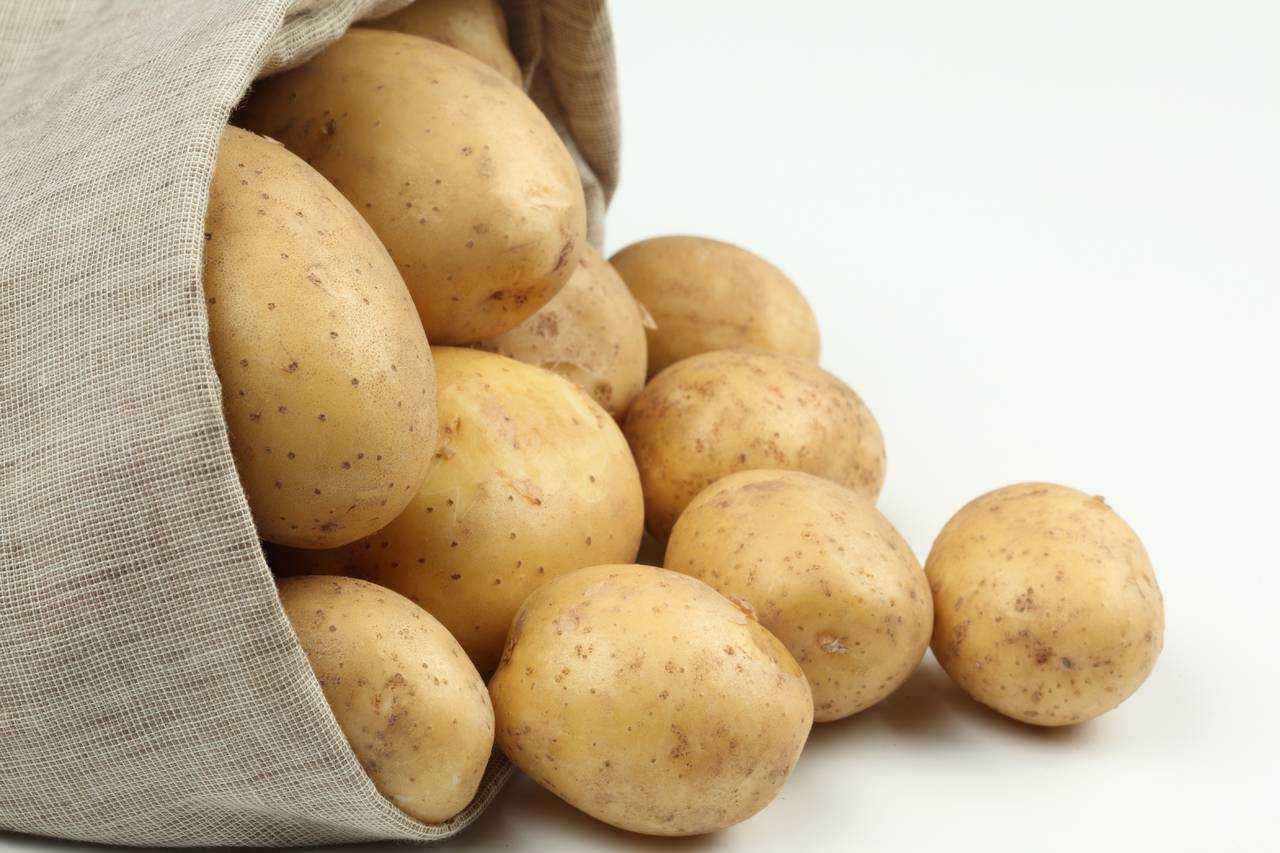 Алена: описание семенного сорта картофеля, характеристики, агротехника